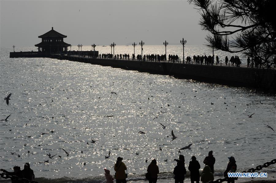 CHINA-QINGDAO-WINTER-SEA GULL (CN)