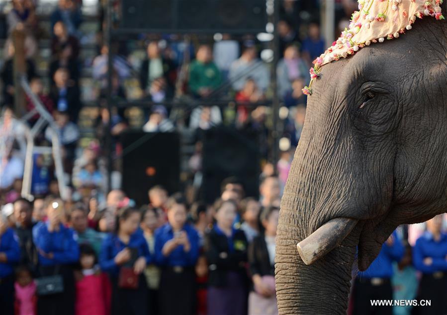 LAOS-SAYABULY-ELEPHANT FESTIVAL