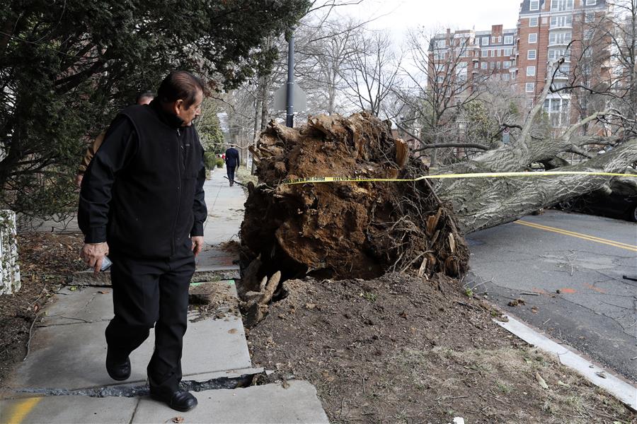 U.S.-WASHINGTON D.C.-WINDSTORM