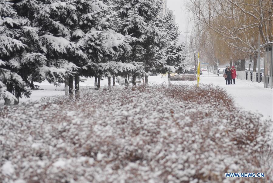 CHINA-JINLIN-HEAVY SNOW(CN)