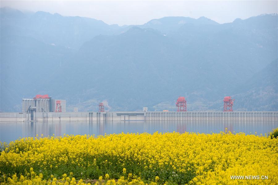 #CHINA-HUBEI-THREE GORGES-SCENERY (CN)