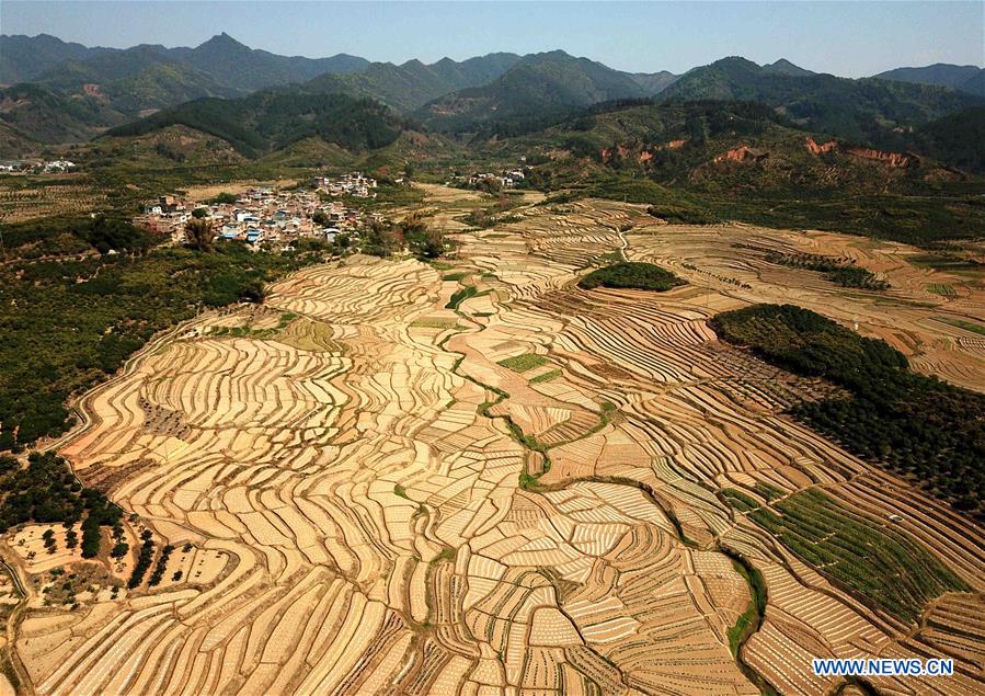 CHINA-GUANGXI-AGRICULTURE-WATERMELON-FIELD-LANDSCAPE (CN)