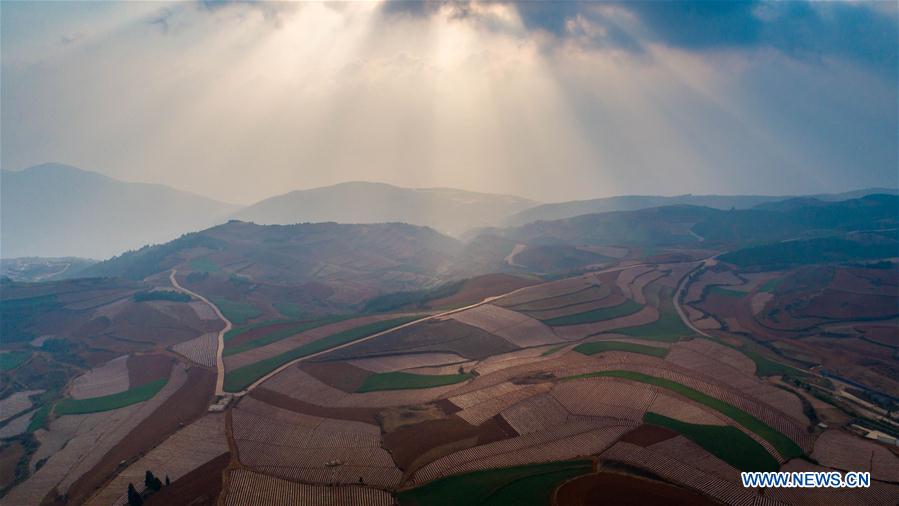 CHINA-YUNNAN-DONGCHUAN RED LAND-SCENERY (CN)