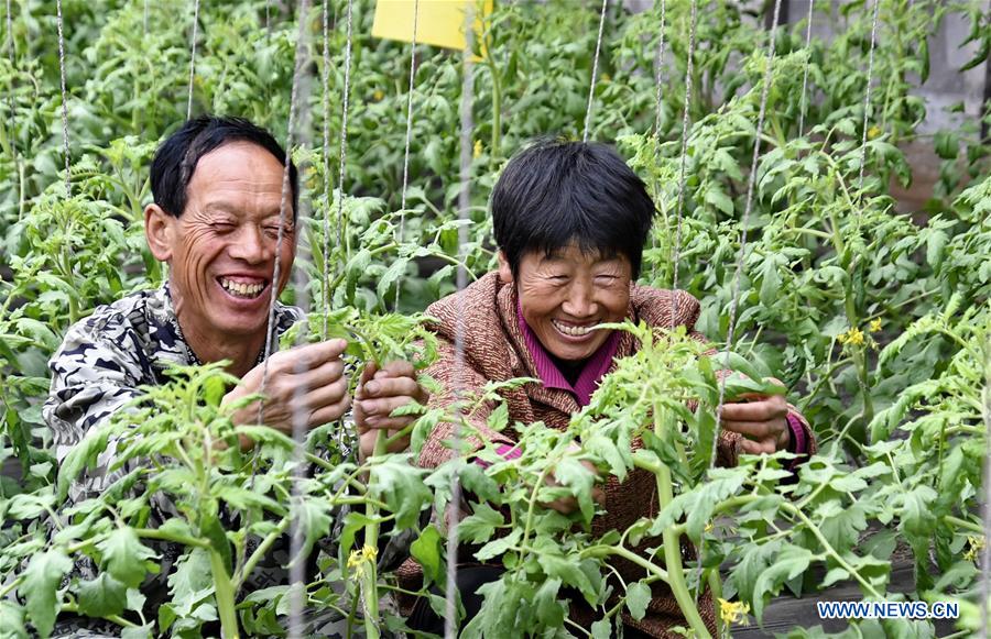 CHINA-BEIJING-FARM WORK (CN)