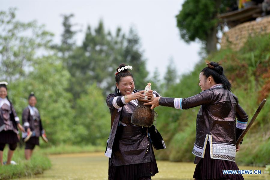 #CHINA-GUIZHOU-PLOUGHING FESTIVAL (CN)