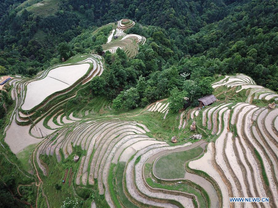 CHINA-GUIZHOU-RONGJIANG-TERRACE SCENERY (CN)