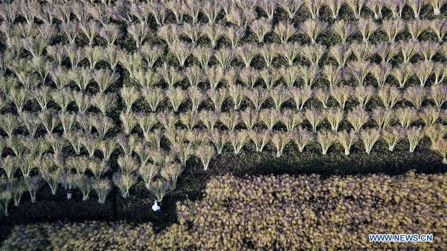 CHINA-ANHUI-VILLAGES-AERIAL VIEW(CN)