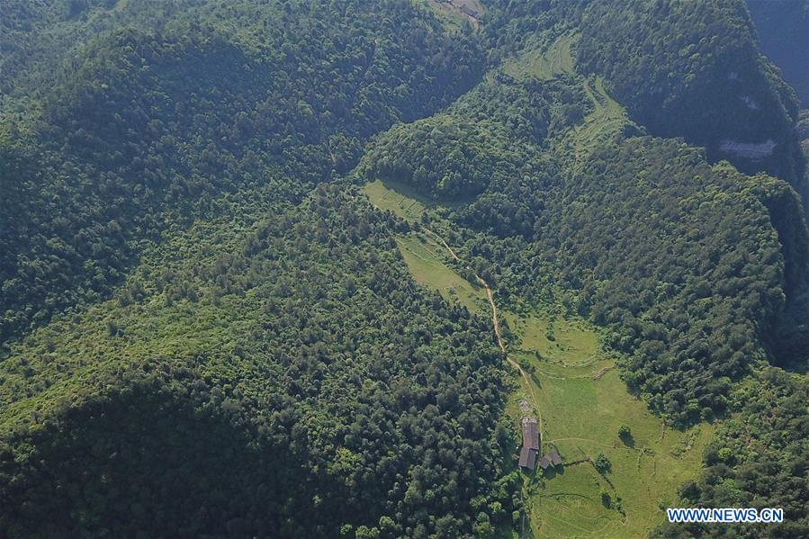 CHINA-GUIZHOU-NATURE RESERVE-SCENERY (CN)