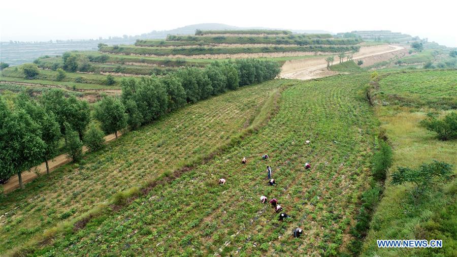 CHINA-NINGXIA-GUYUAN-POVERTY RELIEF (CN)