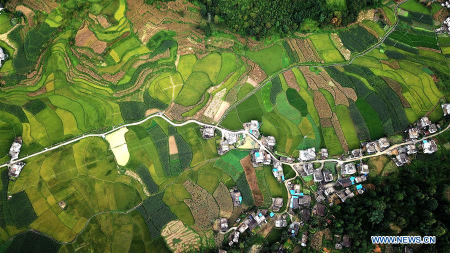 CHINA-GUANGXI-LONGLIN-AUTUMN SCENERY (CN)