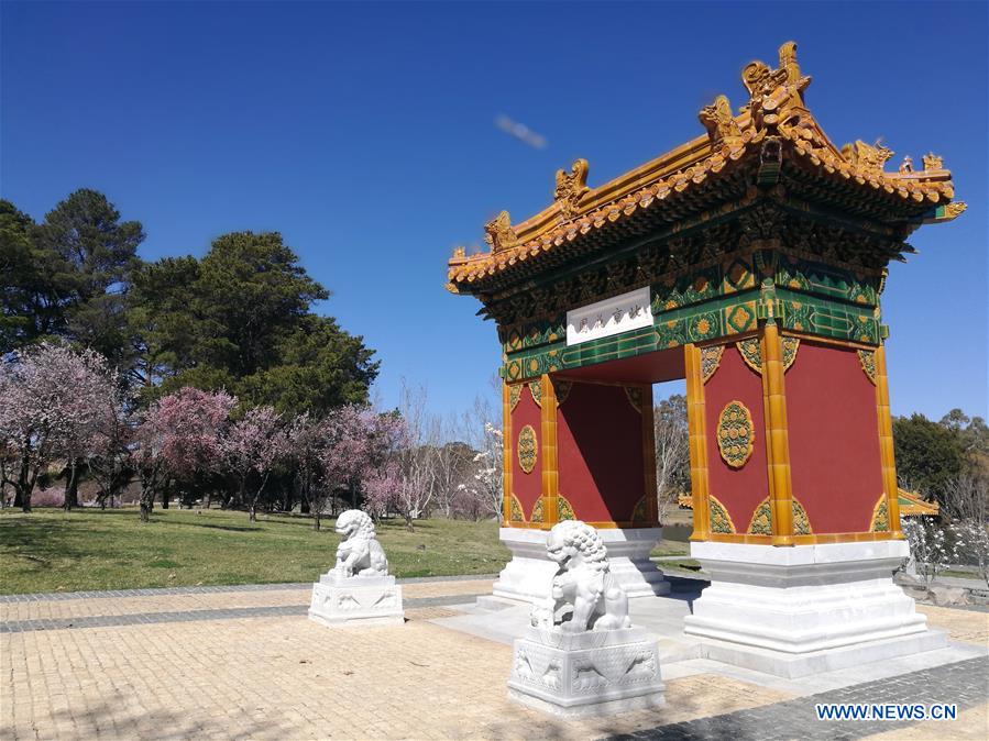 AUSTRALIA-CANBERRA-BEIJING GARDEN-SPRING