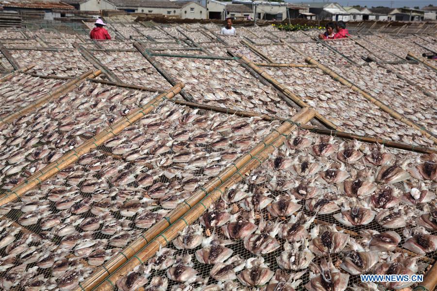 #CHINA-ZHEJIANG-TAIZHOU-FISH-DRYING (CN)