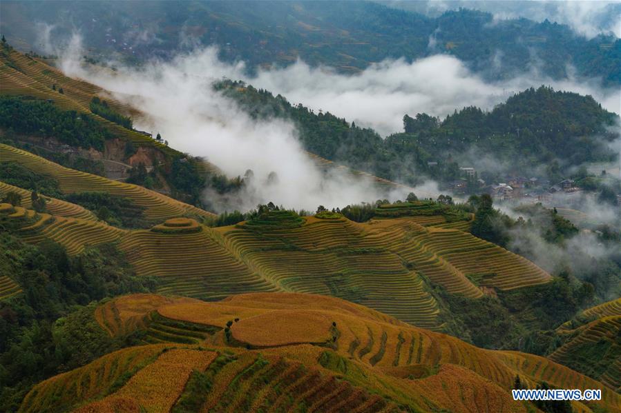 #CHINA-GUANGXI-TERRACE-SCENERY (CN)