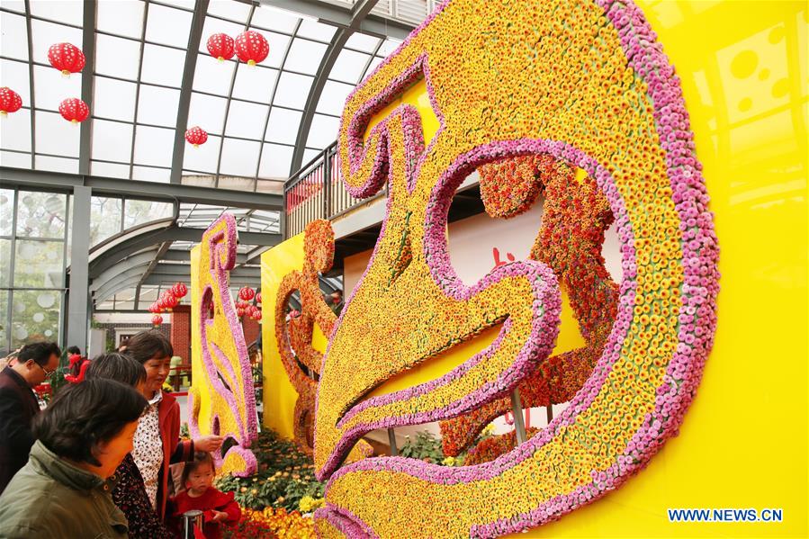 #CHINA-JIANGSU-CHRYSANTHEMUM-SHOW (CN)