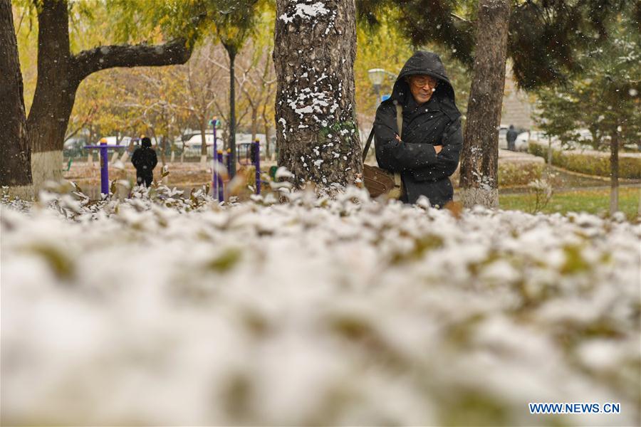 CHINA-JILIN-WEATHER-SNOWFALL (CN)