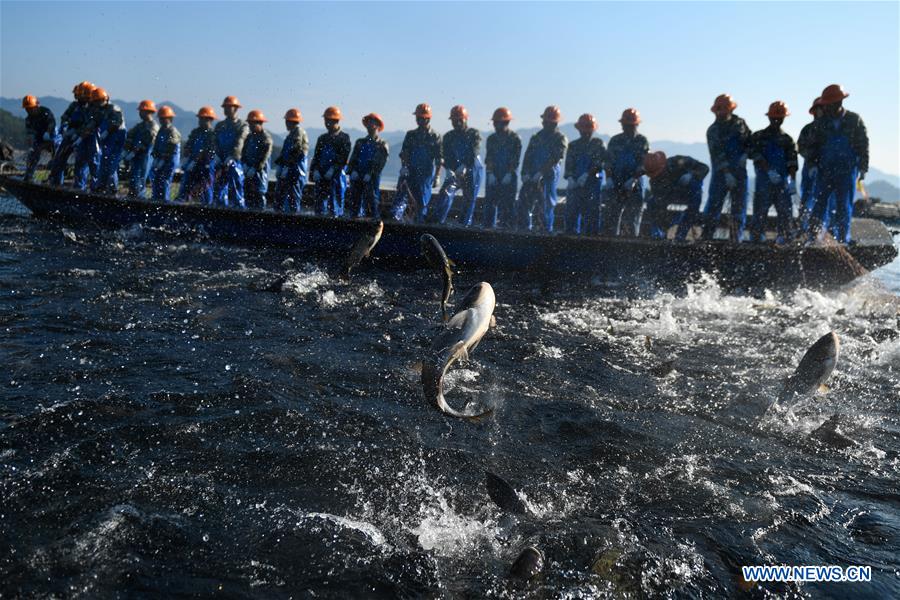 CHINA-HANGZHOU-QIANDAO LAKE-FISHING (CN)