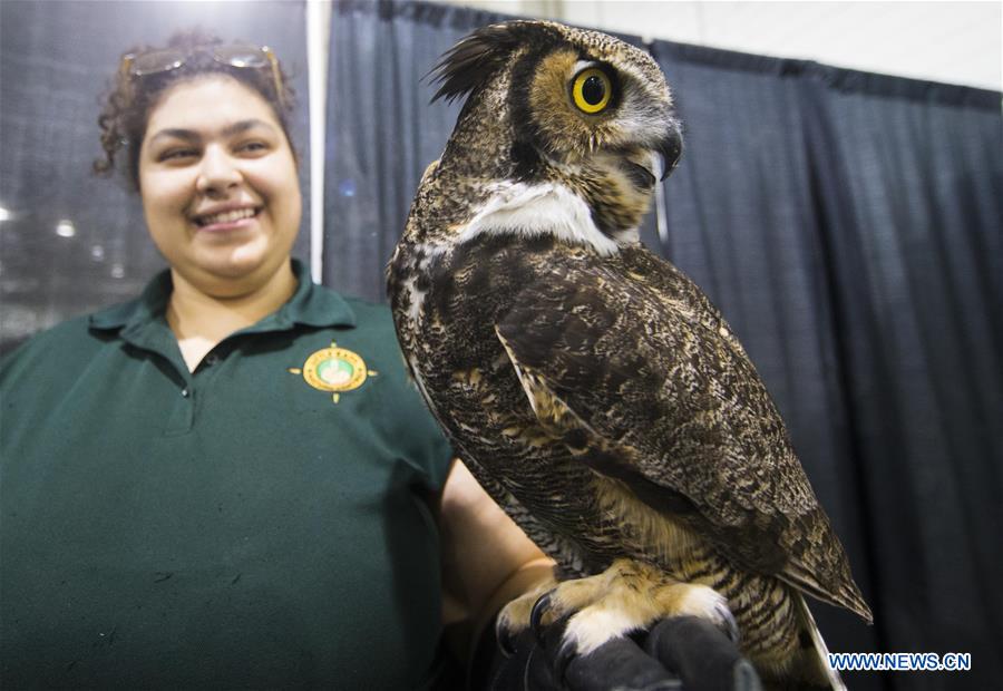 CANADA-TORONTO-WILDLIFE FESTIVAL