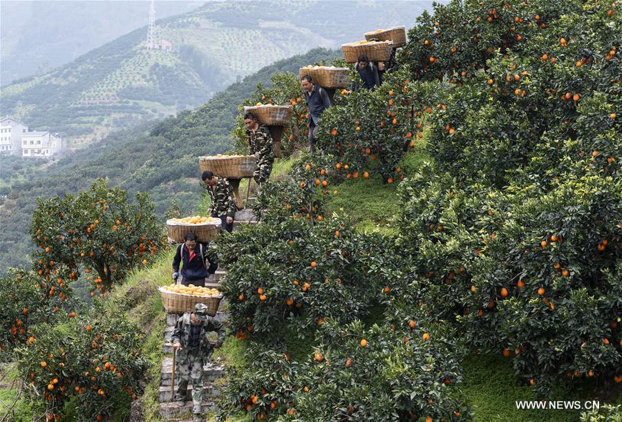 #CHINA-EARLY SPRING-FARM WORK (CN)