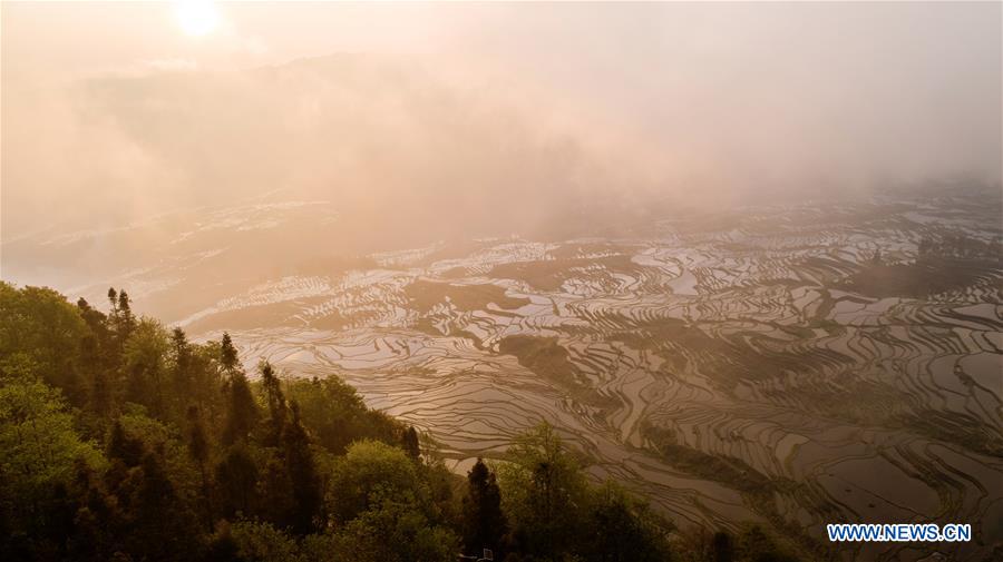 CHINA-YUNNAN-HANI TERRACED FIELDS-VIEWS (CN)