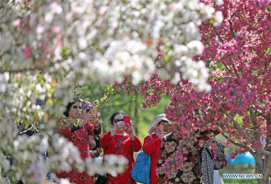 CHINA-LIAONING-SHENYANG-SCENERY (CN)