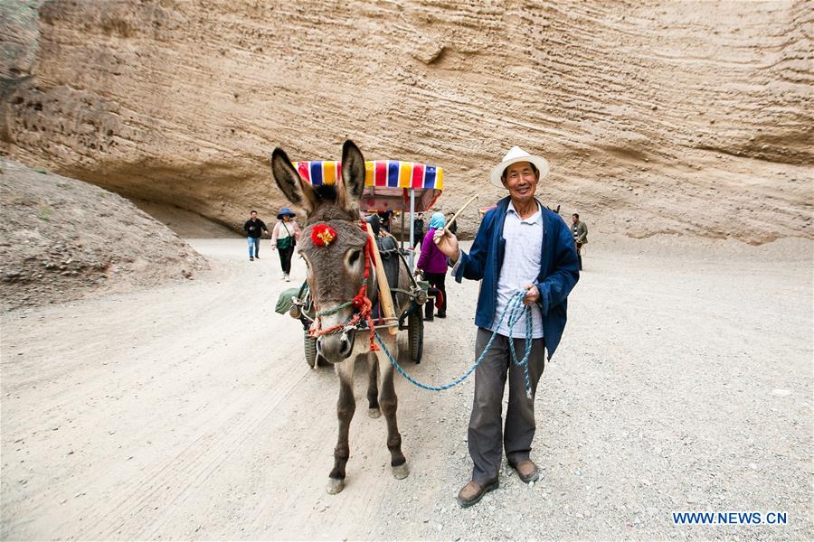 CHINA-GANSU-JINGTAI-DONKEY RIDE-BUSINESS (CN)