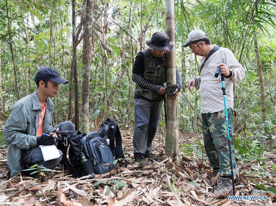 MYANMAR-TAMANTHI-CHINA-JOINT FIELD EXPEDITION