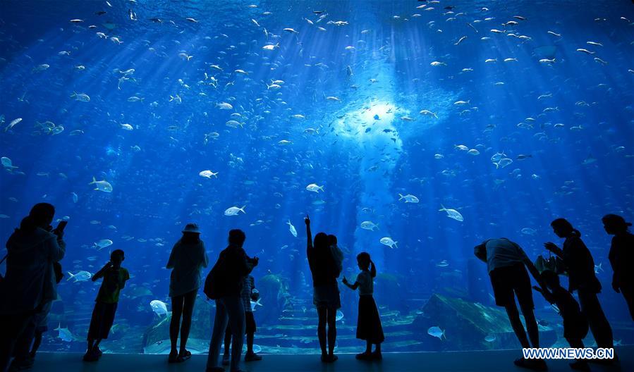 (EcoChina)CHINA-HORTICULTURAL EXPO-HAINAN (CN)