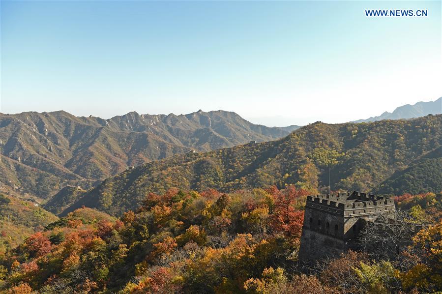 CHINA-BEIJING-GREAT WALL-AUTUMN SCENERY (CN)