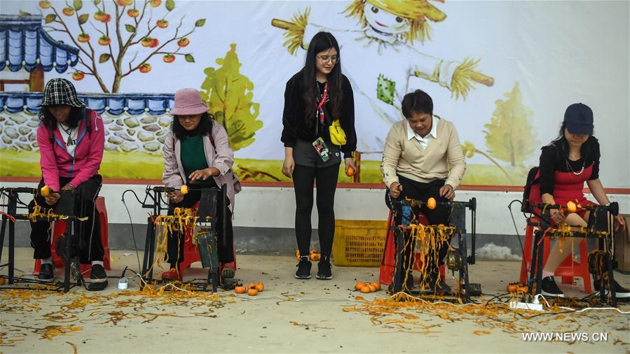 CHINA-GUANGXI-PINGLE-PERSIMMON (CN)