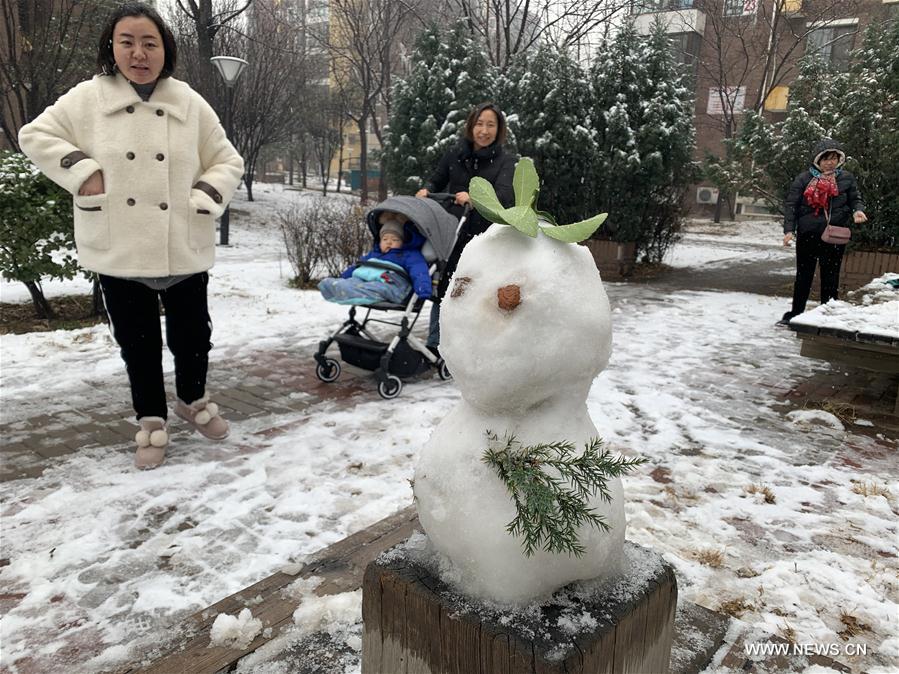 (BeijingCandid)CHINA-BEIJING-WINTER-SNOWMAN (CN)