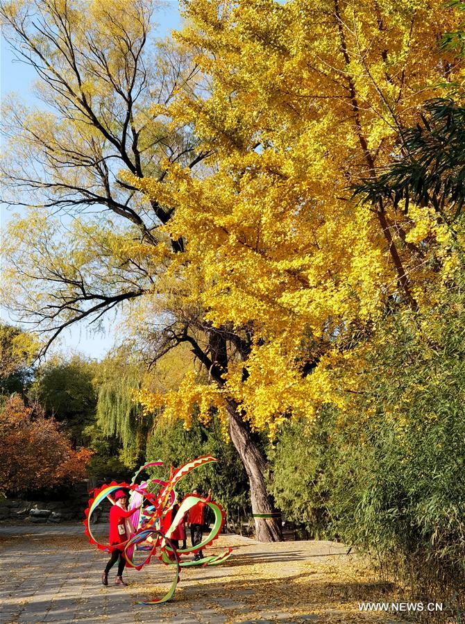 CHINA-BEIJING-YUANMINGYUAN-AUTUMN SCENERY (CN)