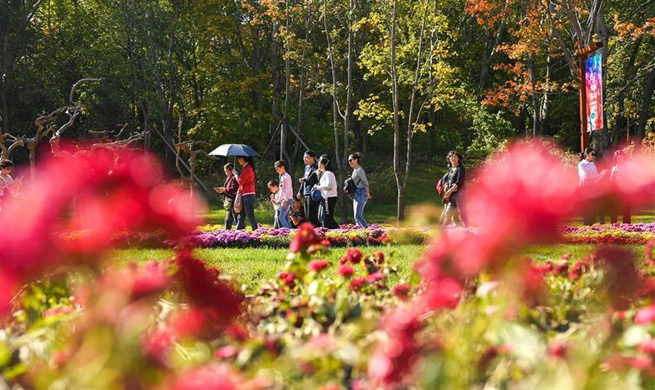 Citizens enjoy autumn scenery at ecological park in Changchun, NE China