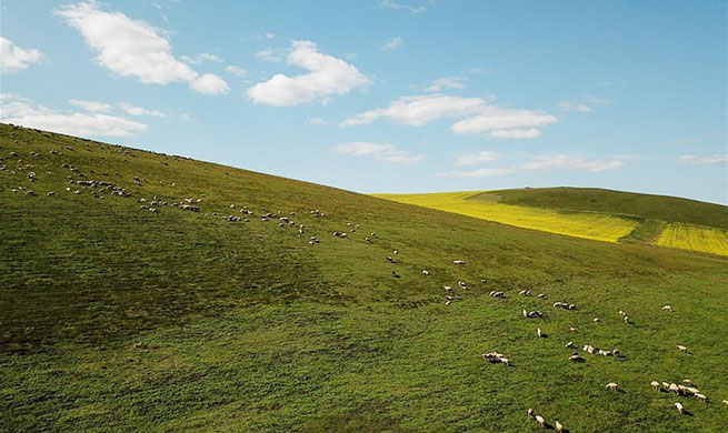 Aerial view of Hulunbuir in N China's Inner Mongolia