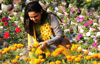 In pics: Bangladesh Flower Fest 2017