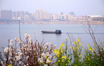 Spring scenery across China