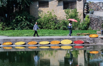 Ancient town in east China's Zhejiang attracts visitors during National Day holiday