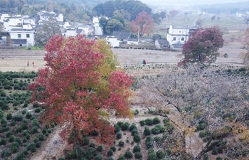 Autumn scenery of Tachuan Village in E China