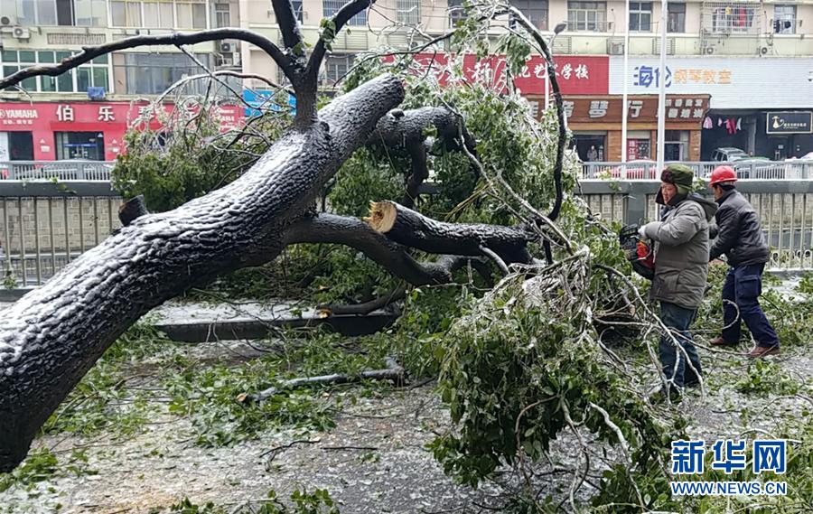 （新华全媒头条）（7）雨雪冰冻中，他们奋力前行——基层党员干群抗击冰雪灾害纪实