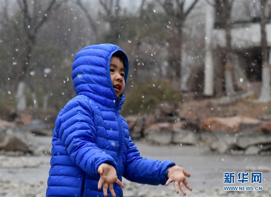 （环境）（1）北京迎来春雪