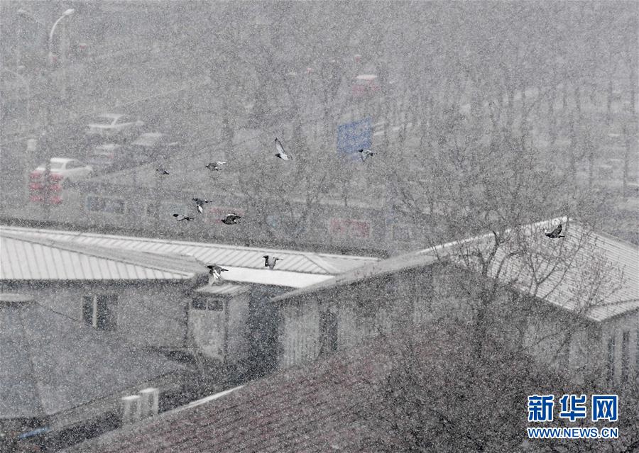 （环境）（8）北京迎来春雪