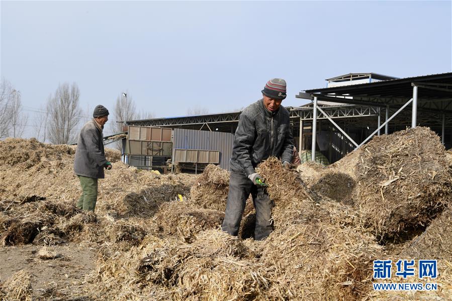 （在习近平新时代中国特色社会主义思想指引下——新时代新气象新作为·乡村振兴战略·图文互动）（2）“与其放火，不如打包”——山西浑源秸秆综合再利用见闻