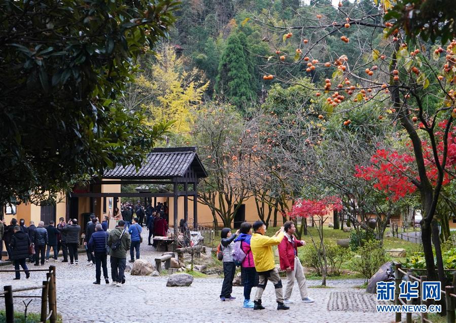 （新华全媒头条）（2）向着新的峰巅登攀——从井冈山精神看中国改革开放40年