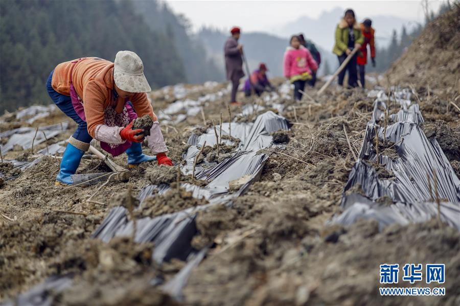 （新春走基层）（16）重庆黔江：土家三老汉 一台“扶贫戏”