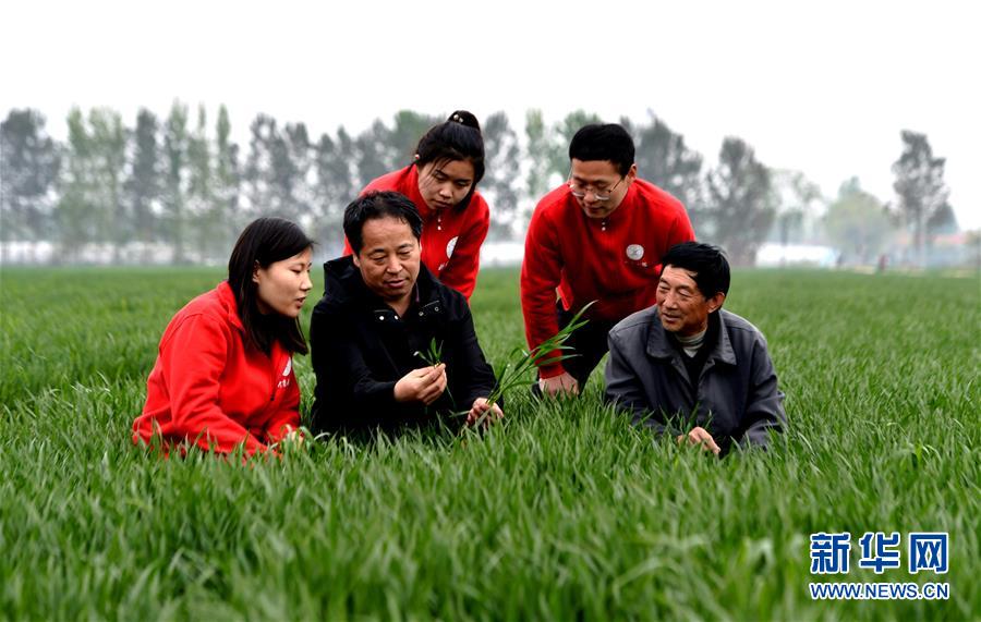 （爱国情 奋斗者·图文互动）（1） “解民生之多艰，育天下之英才”——中国农大师生扎根田野书写奉献之歌