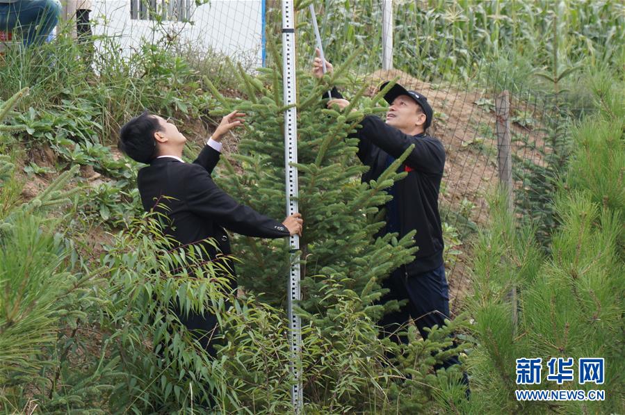 （决战决胜脱贫攻坚·图文互动）（2）甘肃定西黄土高坡上，有片“福州林”