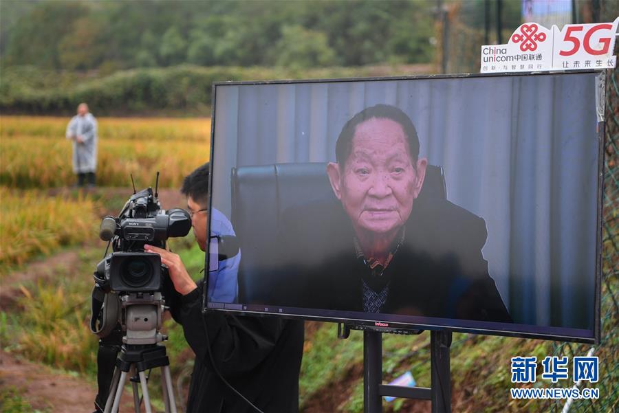 （图文互动）（4）袁隆平团队杂交水稻双季亩产突破1500公斤