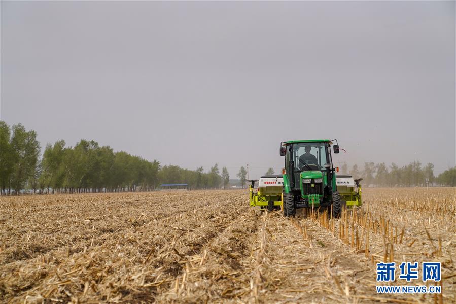 （在习近平新时代中国特色社会主义思想指引下——新时代新作为新篇章·习近平总书记关切事·图文互动）（8）让农民挑上“金扁担”——农业现代化的生动实践扫描