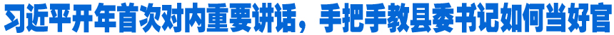 习近平开年首次对内重要讲话，手把手教县委书记如何当好官