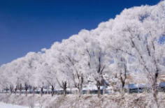 全国初雪时间表出炉 看看你离初雪还有多远？