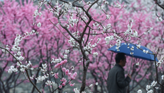 北京：春雪或伴春雨至